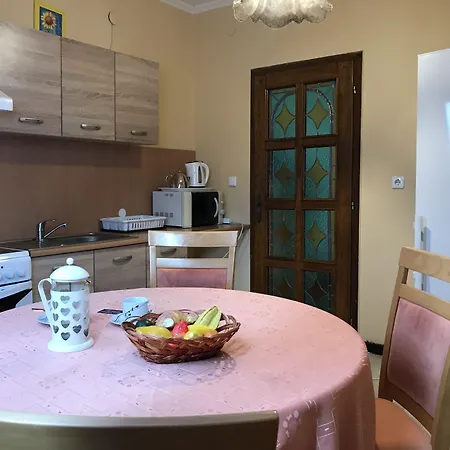 Lotusz In * Nyíregyháza