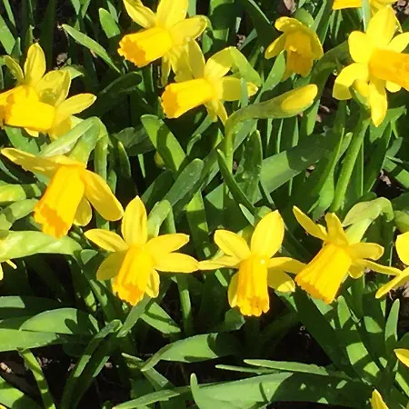 Apartamento Lotusz In