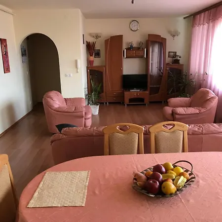 Lotusz In * Nyiregyhaza