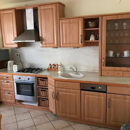 Lotusz In * Nyíregyháza