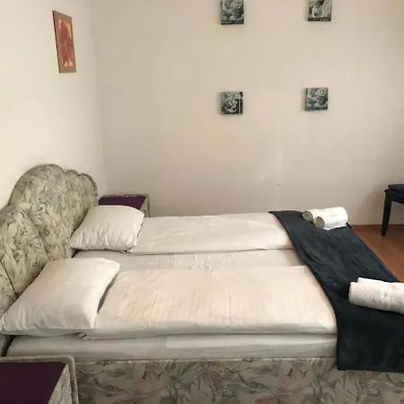 Lotusz In Nyiregyhaza