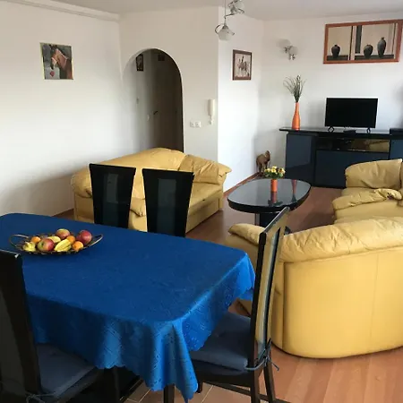 Lotusz In * Nyiregyhaza