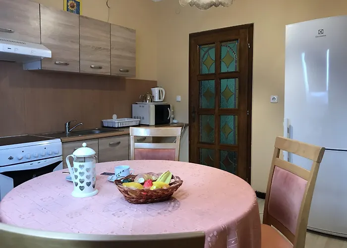 Lotusz In * Nyíregyháza