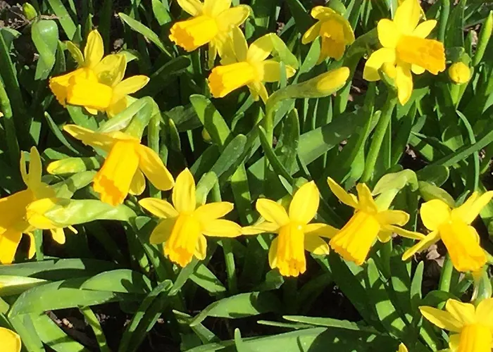 アパート Lotusz In