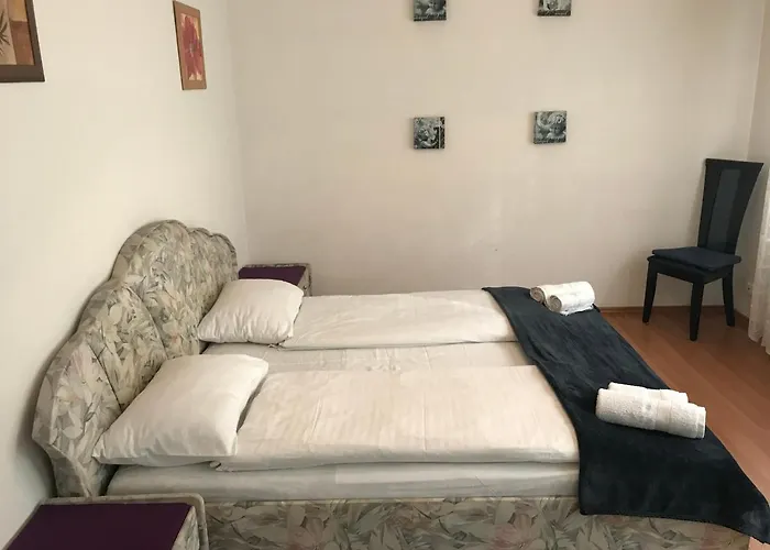 Lotusz In Nyíregyháza