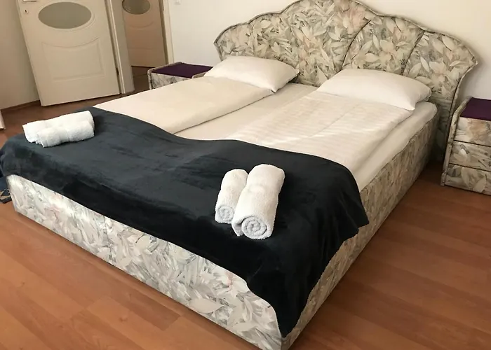 Lotusz In Nyíregyháza