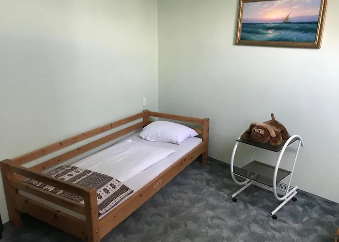 Lotusz In * Nyíregyháza