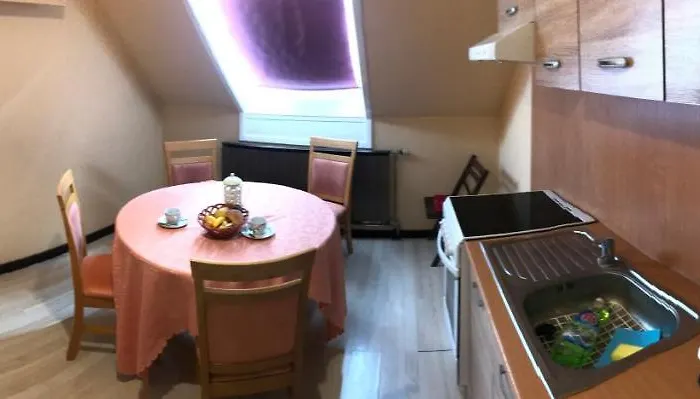 Lotusz In * Nyíregyháza